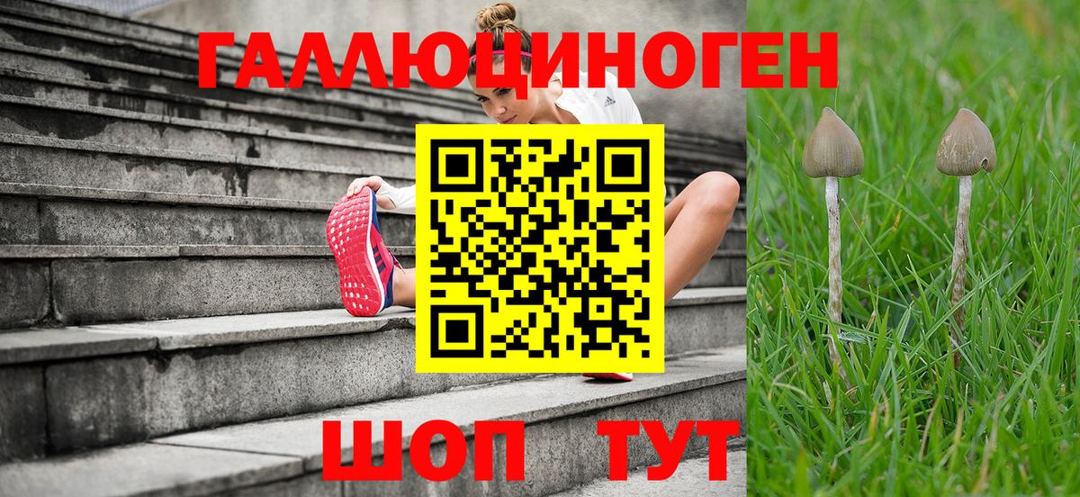 Алексеевка  Галлюциногенные грибы Psilocybine cubensis  Галлюциногенные грибы мухоморы  Вход с VPN 